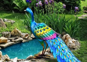 Tips To Improve Your Garden Decor